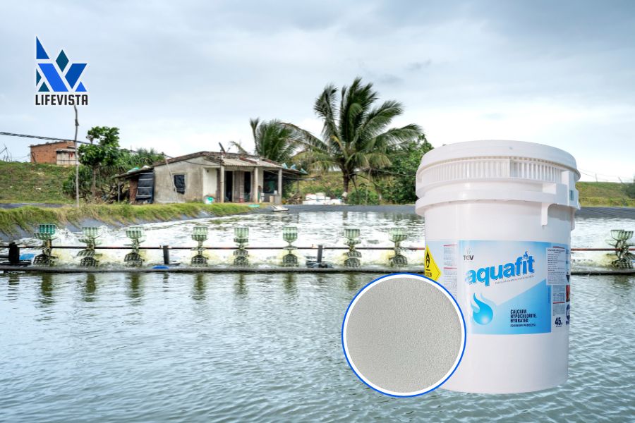 Clo Aquafit 70 dùng trong nuôi trồng thủy sản