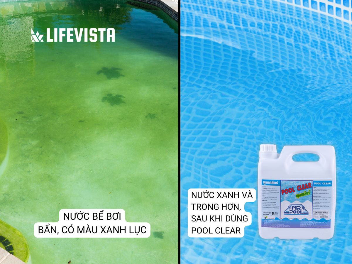 Pool Clear làm xanh nước hồ bơi