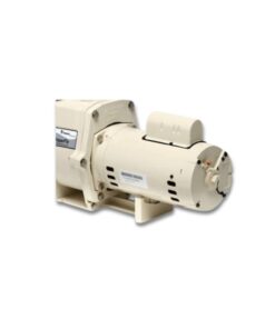 Máy bơm hồ bơi Pentair chính hãng