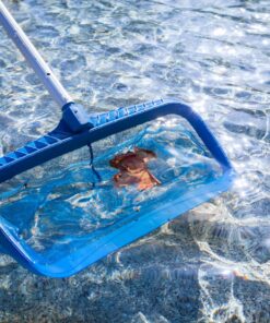 Vợt vớt rác gắn sào nhôm