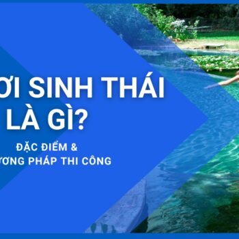 hồ bơi sinh thái