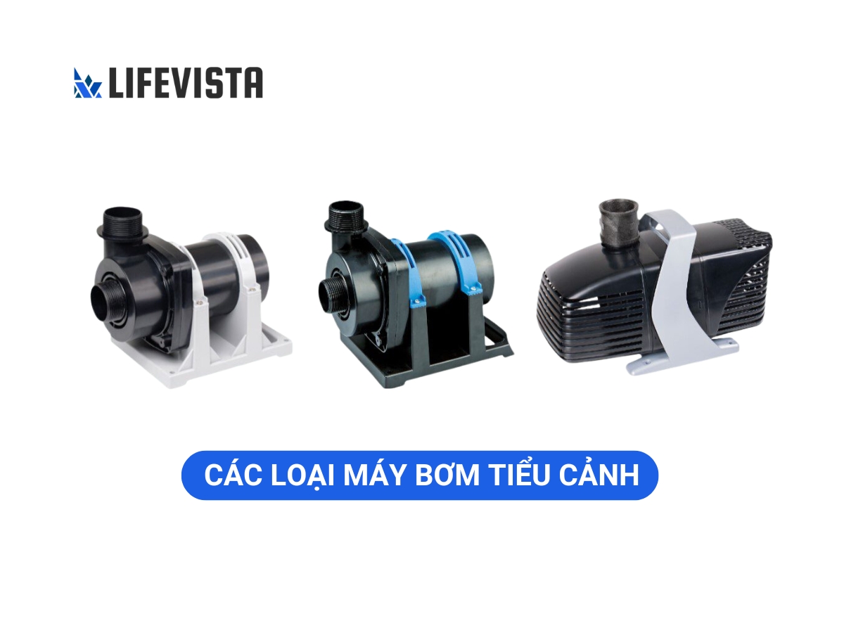 Các loại thiết bị tiểu cảnh hồ bơi máy bơm 