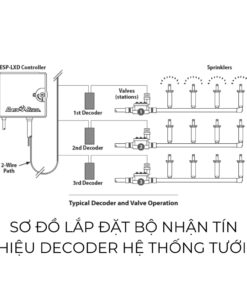 Bộ nhận tín hiệu decoder van điện từ