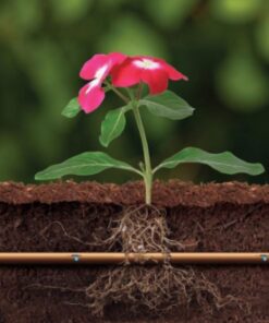 Ống tưới nhỏ giọt XFS chính hãng Rainbird tốt nhất