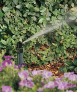 Vòi phun A17F Rainbird