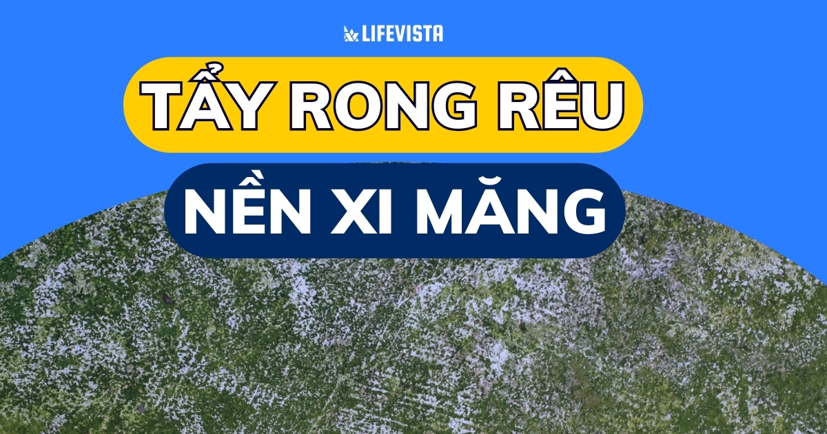 cách tẩy rong rêu