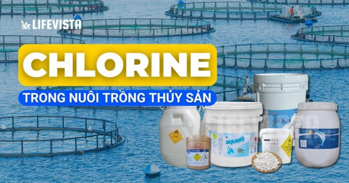 Ứng dụng Chlorine trong nuôi trồng thủy sản và cách sử dụng