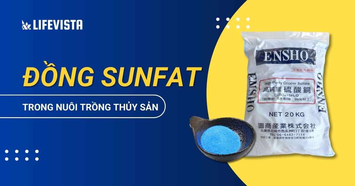 Tất tần tật tác dụng của Đồng Sunfat trong nuôi trồng thủy sản