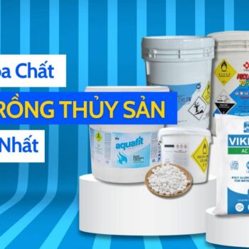 Điểm danh top 3 loại hóa chất nuôi trồng thủy sản phổ biến nhất