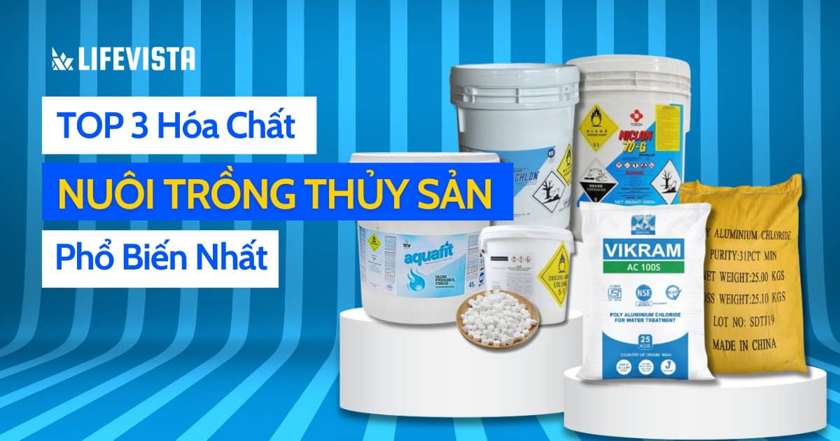 Điểm danh top 3 loại hóa chất nuôi trồng thủy sản phổ biến nhất