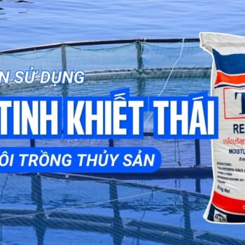 Hướng dẫn sử dụng muối tinh khiết Thái trong nuôi trồng thủy sản
