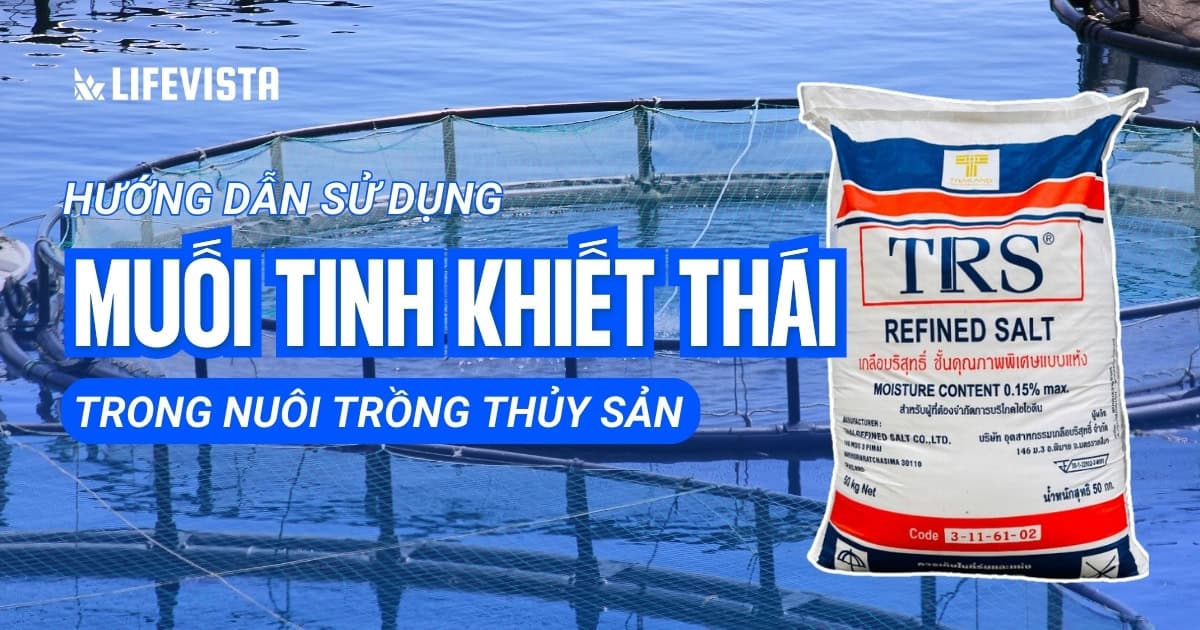 Hướng dẫn sử dụng muối tinh khiết Thái trong nuôi trồng thủy sản