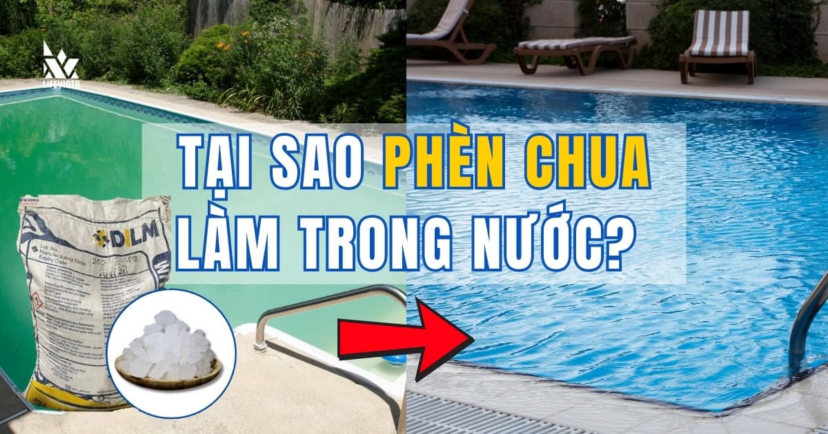 phèn chua là gì