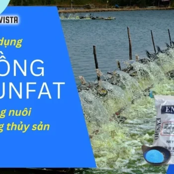 Tác dụng của đồng sunfat trong nuôi trồng thủy sản