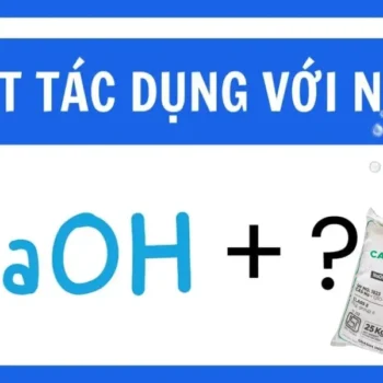 các chất tác dụng với naoh