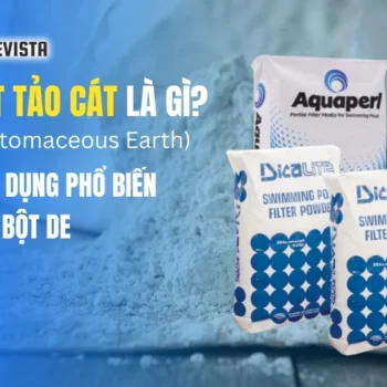 Đất tảo cát là gì