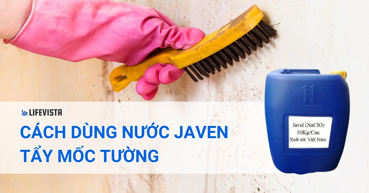 dung dịch tẩy mốc tường