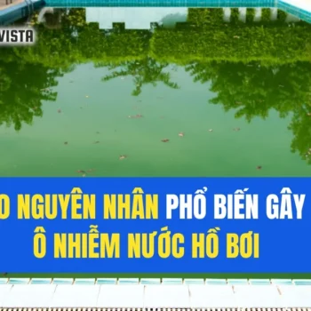 ô nhiễm nước hồ bơi