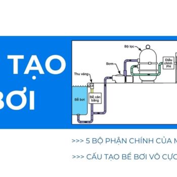 cấu tạo bể bơi