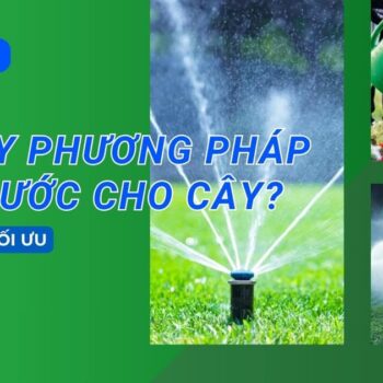 Có mấy phương pháp tưới nước hiệu quả, tối ưu cho cây trồng?