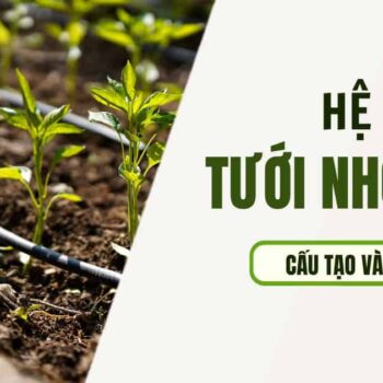hệ thống tưới nhỏ giọt là gì