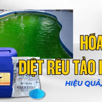 TOP 3 hóa chất diệt rêu tảo hồ bơi hiệu quả, phổ biến