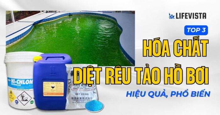 TOP 3 hóa chất diệt rêu tảo hồ bơi hiệu quả, phổ biến