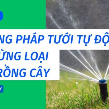 Top 3+ phương pháp tưới tự động cho từng loại đất trồng cây