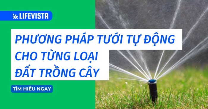 Top 3+ phương pháp tưới tự động cho từng loại đất trồng cây