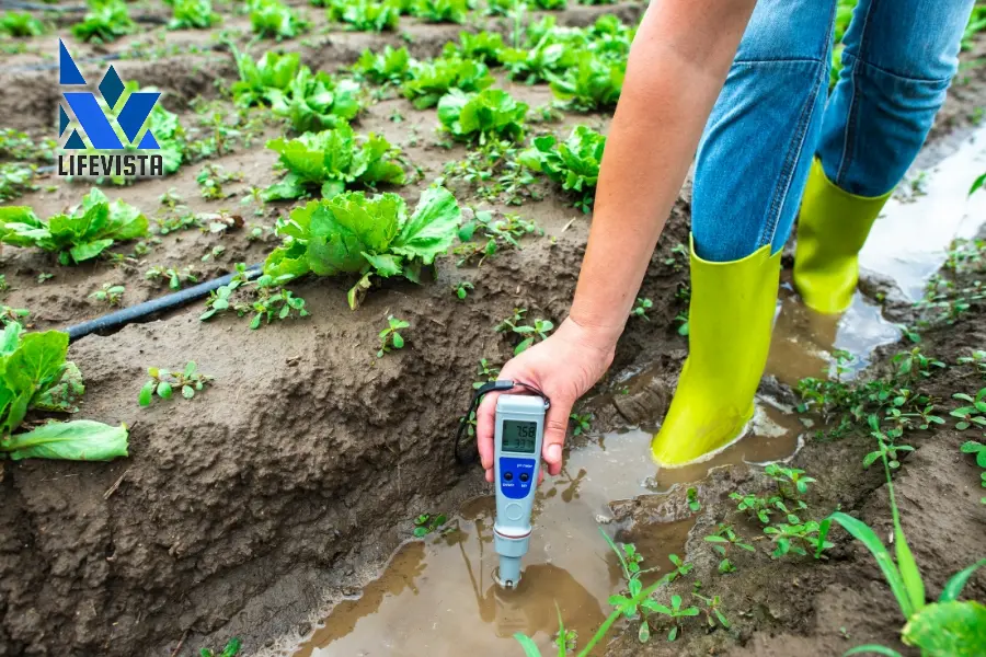 Axit citric điều chỉnh pH đất