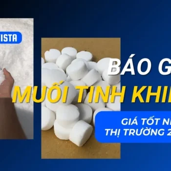 Báo giá muối tinh khiết giá tốt nhất trên thị trường 2025
