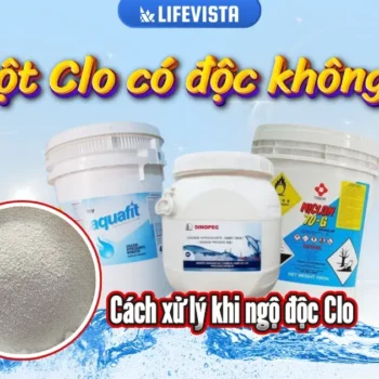 bột clo có độc không