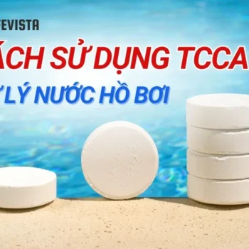 Cách sử dụng TCCA xử lý nước hồ bơi