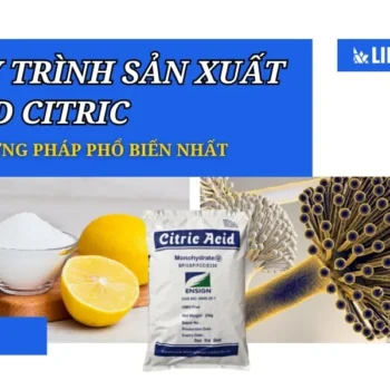 2 quy trình sản xuất Acid Citric phổ biến nhất hiện nay