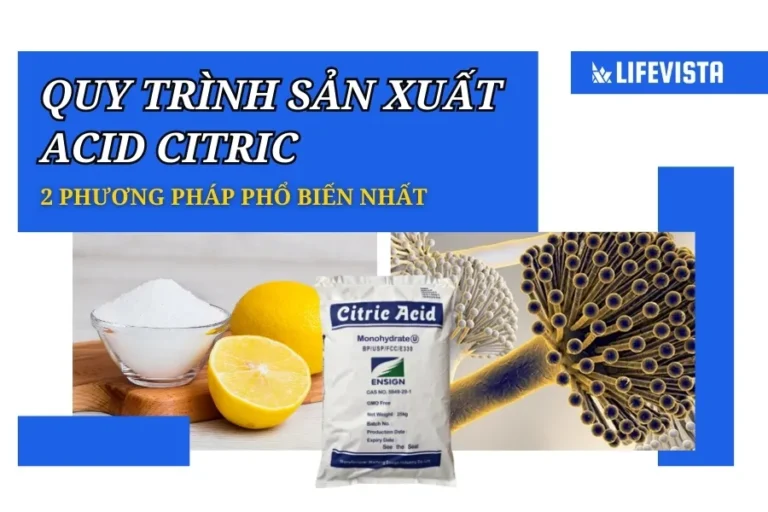 2 quy trình sản xuất Acid Citric phổ biến nhất hiện nay