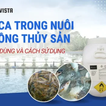 TCCA dùng trong nuôi thủy sản