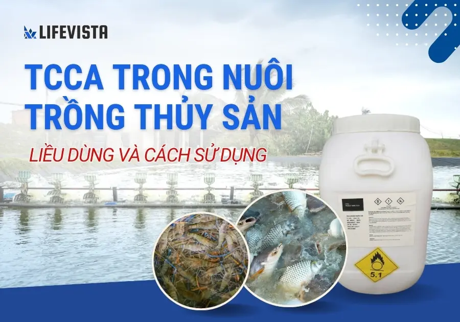 TCCA dùng trong nuôi thủy sản