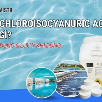 trichloroisocyanuric acid là gì