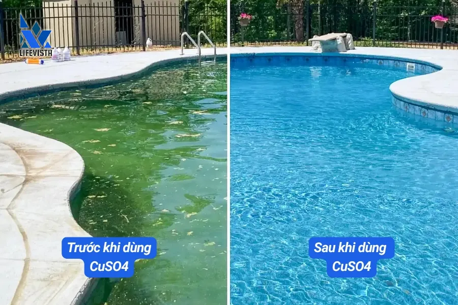 CuSO4 diệt tảo hồ bơi