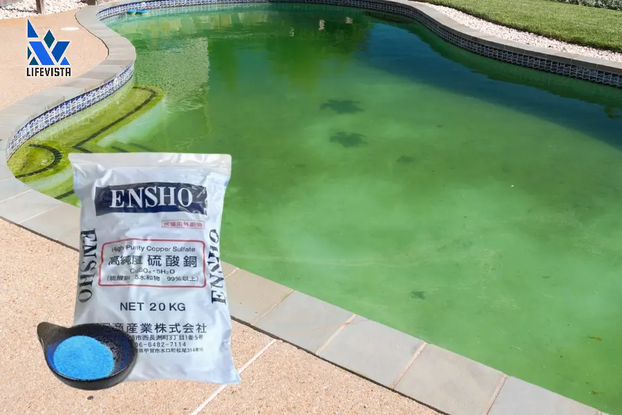 Đồng sunfat diệt rêu tảo cho hồ bơi
