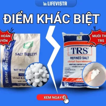 muối hoàn nguyên và muối thái