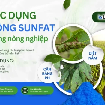tác dụng của đồng sunfat với cây trồng