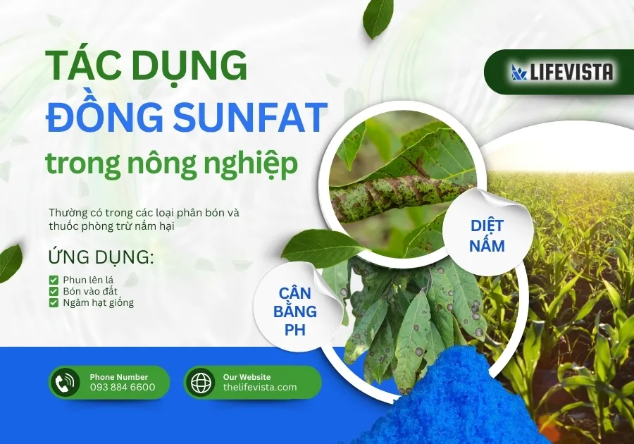 tác dụng của đồng sunfat với cây trồng