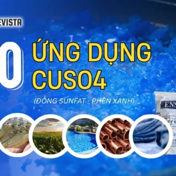 ứng dụng của CuSO4