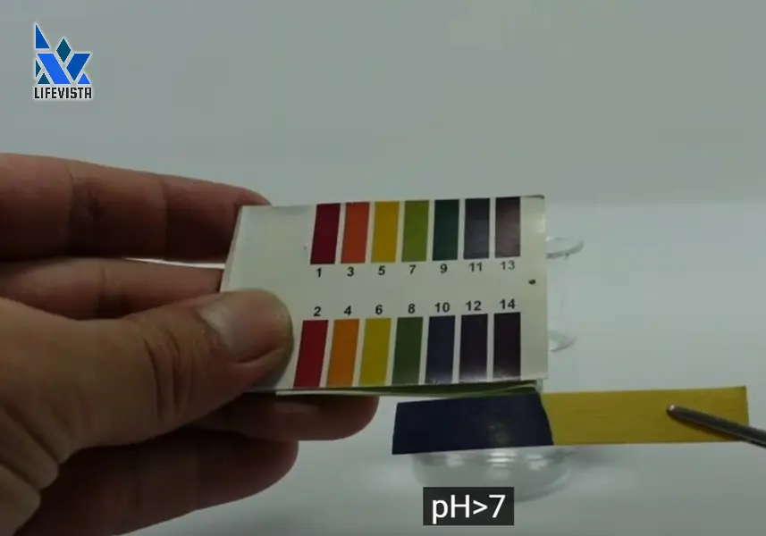 Natri cacbonat làm quỳ tím chuyển màu xanh