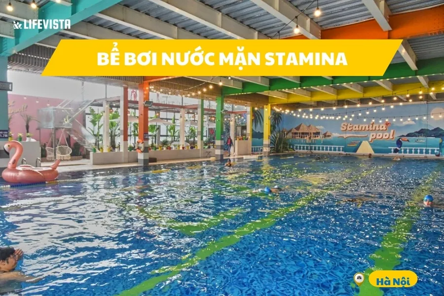Bể bơi nước mặn Stamina