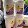clo nhật bản niclon 7000