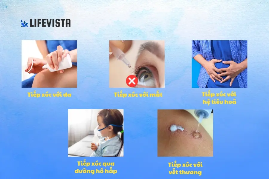 Hydrogen peroxide có độc hại không? Tác động thế nào lên con người?