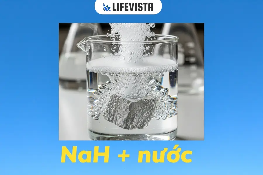 Natri Hiđrua tác dụng với nước