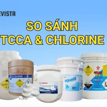 So sánh TCCA và Chlorine